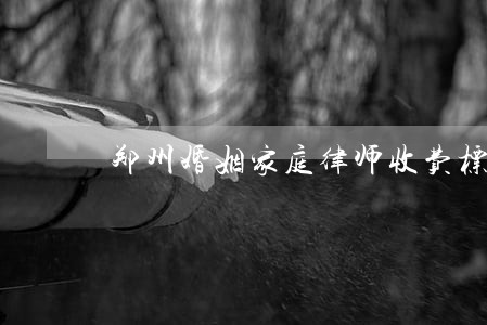 郑州婚姻家庭律师收费标准 郑州婚姻家庭律师收费标准
