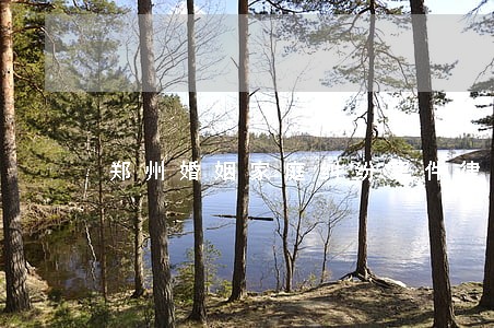郑州婚姻家庭纠纷案件律师哪个好 郑州婚姻家庭纠纷案件律师哪个好