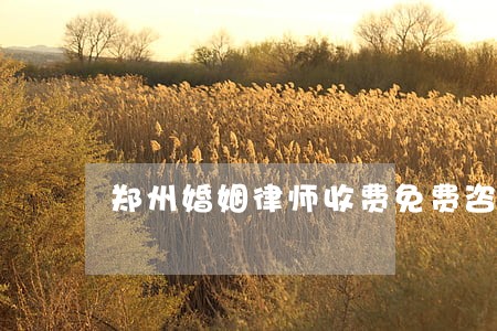 郑州婚姻律师收费免费咨询 郑州婚姻律师收费免费咨询