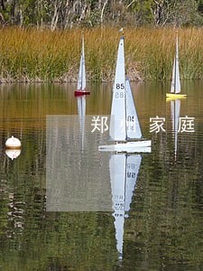 郑州家庭法律顾问律师 郑州家庭法律顾问律师