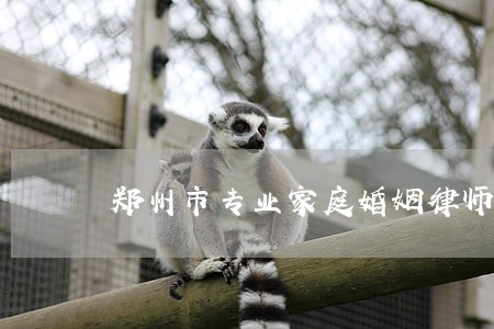 郑州市专业家庭婚姻律师 郑州市专业家庭婚姻律师