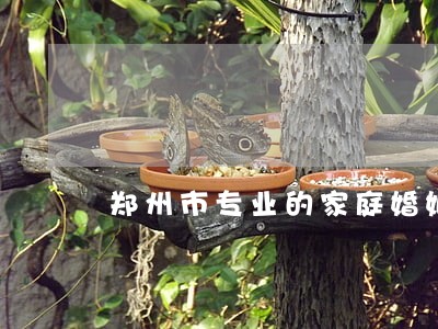 郑州市专业的家庭婚姻律师哪个好 郑州市专业的家庭婚姻律师哪个好