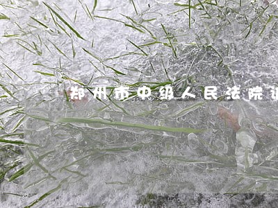 郑州市中级人民法院诉讼 郑州市中级人民法院诉讼