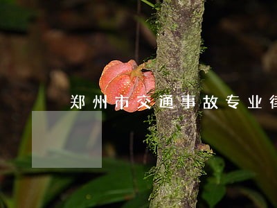 郑州市交通事故专业律师 郑州市交通事故专业律师