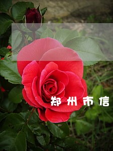 郑州市信用卡逾期黑名单 郑州市信用卡逾期黑名单