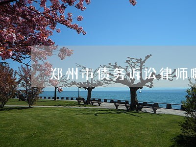 郑州市债务诉讼律师哪个好