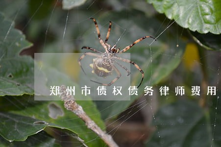 郑州市债权债务律师费用如何 郑州市债权债务律师费用如何