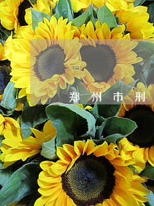 郑州市刑事会见律师收费 郑州市刑事会见律师收费