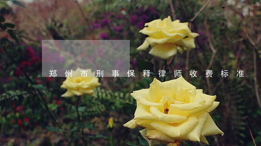 郑州市刑事保释律师收费标准 郑州市刑事保释律师收费标准