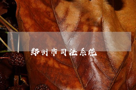 郑州市司法系统