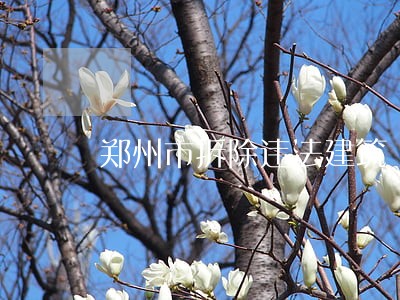 郑州市拆除违法建筑