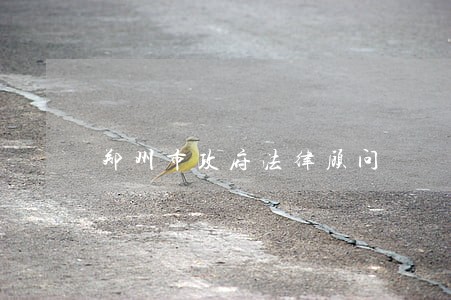 郑州市政府法律顾问