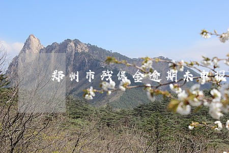 郑州市残保金逾期未申报