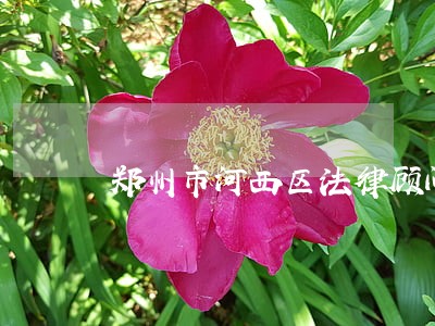 郑州市河西区法律顾问 郑州市河西区法律顾问
