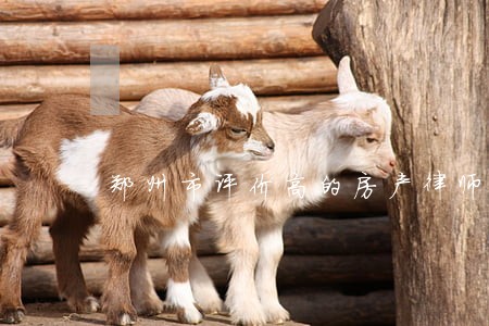 郑州市评价高的房产律师 郑州市评价高的房产律师