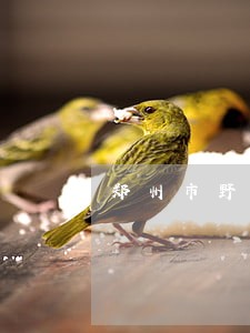 郑州市野生动物违法 郑州市野生动物违法