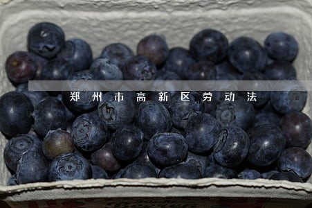 郑州市高新区劳动法 郑州市高新区劳动法