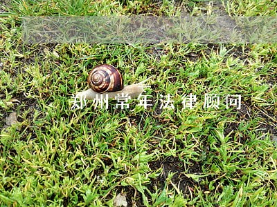 郑州常年法律顾问 郑州常年法律顾问
