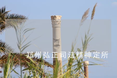 郑州弘正司法精神定所 郑州弘正司法精神定所