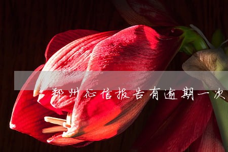 郑州征信报告有逾期一次 郑州征信报告有逾期一次