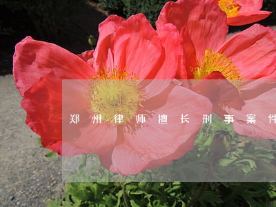 郑州律师擅长刑事案件的 郑州律师擅长刑事案件的