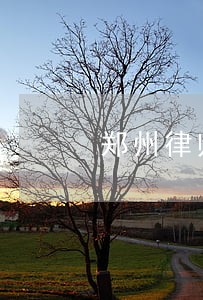 郑州律师行业总创收 郑州律师行业总创收