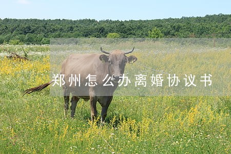 郑州怎么办离婚协议书 郑州怎么办离婚协议书