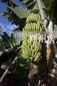 郑州房产律师事务所排名 郑州房产律师事务所排名