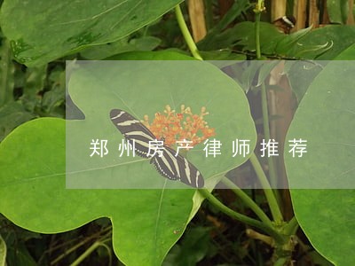 郑州房产律师推荐 郑州房产律师推荐
