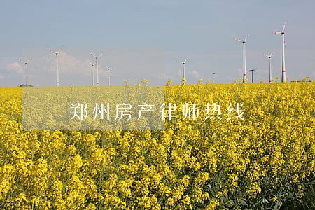 郑州房产律师热线