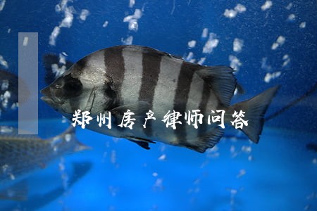 郑州房产律师问答