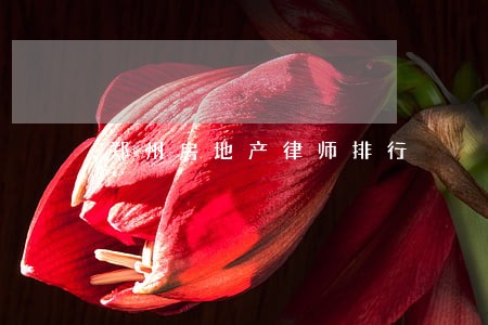 郑州房地产律师排行 郑州房地产律师排行
