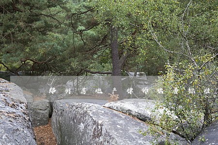 郑州房地产律师收费标准 郑州房地产律师收费标准