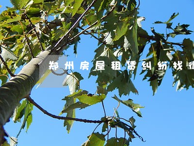 郑州房屋租赁纠纷找律师 郑州房屋租赁纠纷找律师