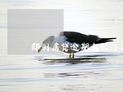 郑州房贷逾期怎么计算器 郑州房贷逾期怎么计算器