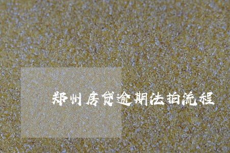 郑州房贷逾期法拍流程 郑州房贷逾期法拍流程