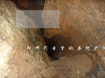 郑州找专业的房地产律师