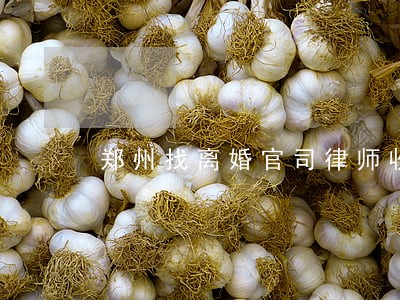 郑州找离婚官司律师收费 郑州找离婚官司律师收费