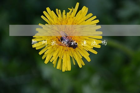 郑州抓烟机违法吗 郑州抓烟机违法吗