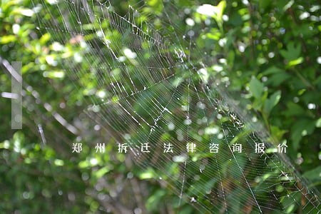郑州拆迁法律咨询报价 郑州拆迁法律咨询报价