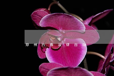 郑州方盾法律咨询 郑州方盾法律咨询