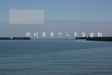 郑州有多少人房贷逾期