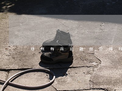 郑州有诉讼融资公司吗 郑州有诉讼融资公司吗