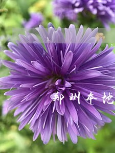 郑州本地债务律师费用标准 郑州本地债务律师费用标准