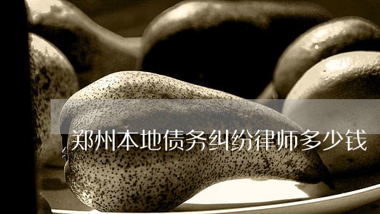 郑州本地债务纠纷律师多少钱 郑州本地债务纠纷律师多少钱
