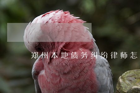 郑州本地债务纠纷律师怎么收费 郑州本地债务纠纷律师怎么收费