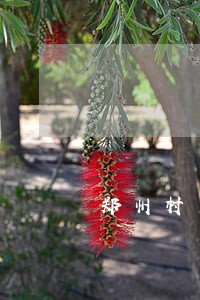 郑州村居法律顾问费用