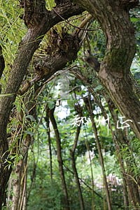 郑州正坛法律咨询 郑州正坛法律咨询