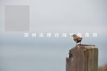 郑州法律咨询价格费用 郑州法律咨询价格费用