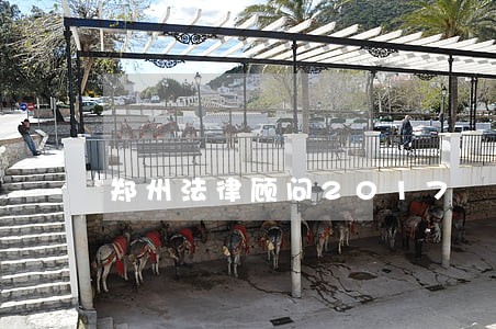 郑州法律顾问2017